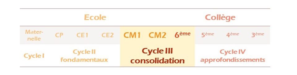 Cycle 3