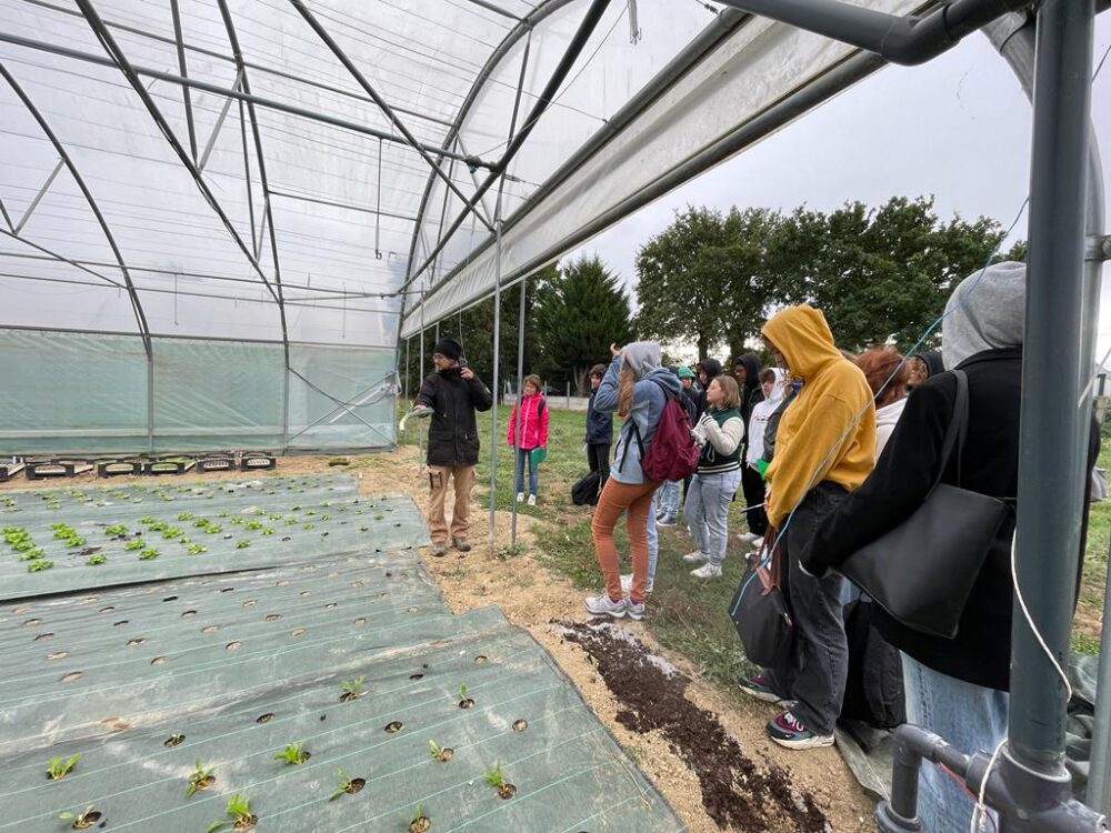 A la rencontre de maraîchers